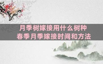 月季树嫁接用什么树种 春季月季嫁接时间和方法